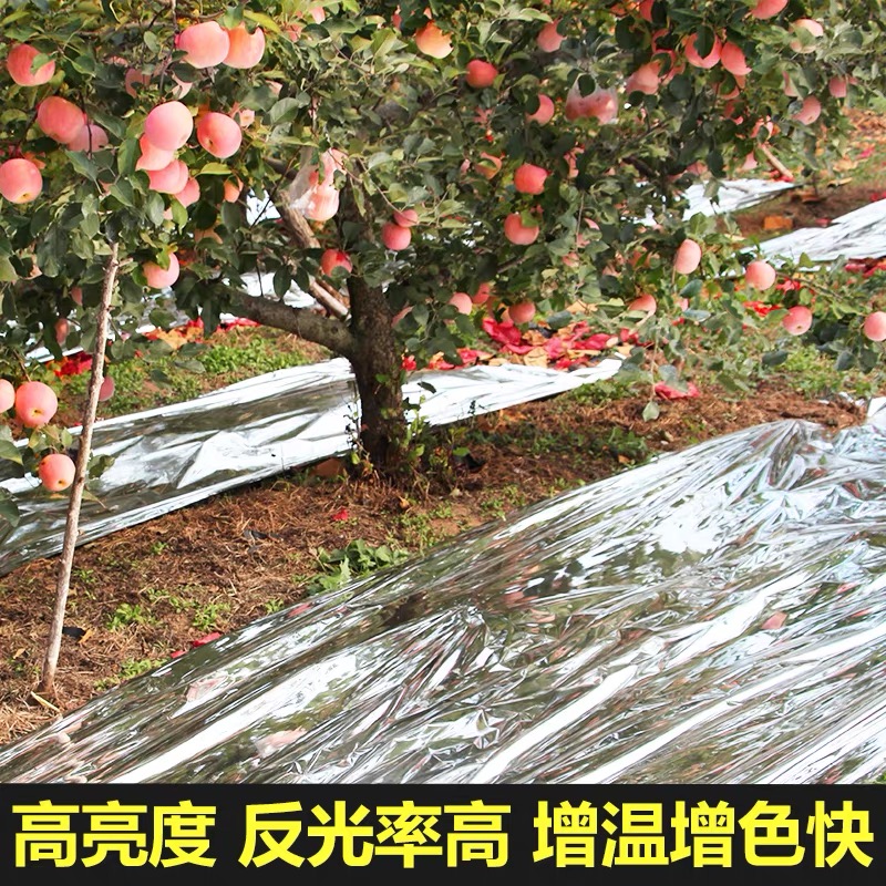 邯郸市果树反光膜果树反光膜 - 哪里好